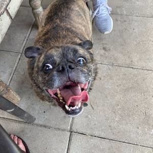 Meet your Posher, Leslie